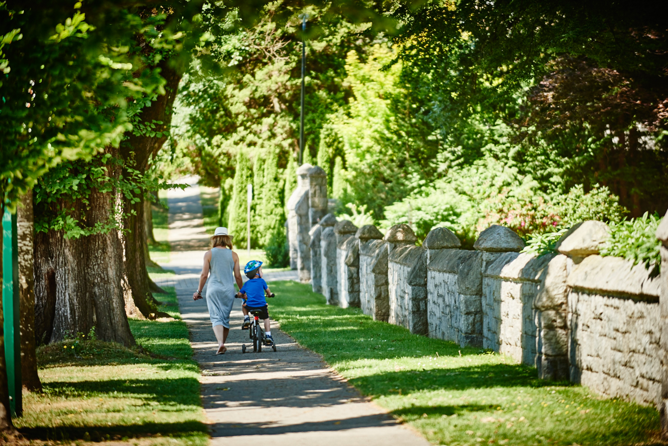Tree-lined residential street with sidewalk in Oakridge Vancouver family-friendly neighbourhood